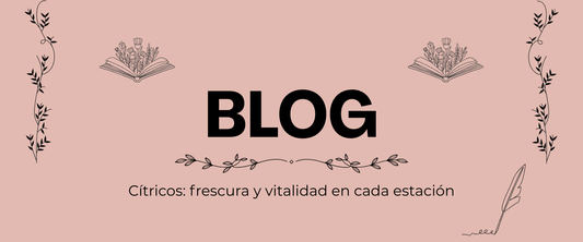 Cítricos: frescura y vitalidad en cada estación